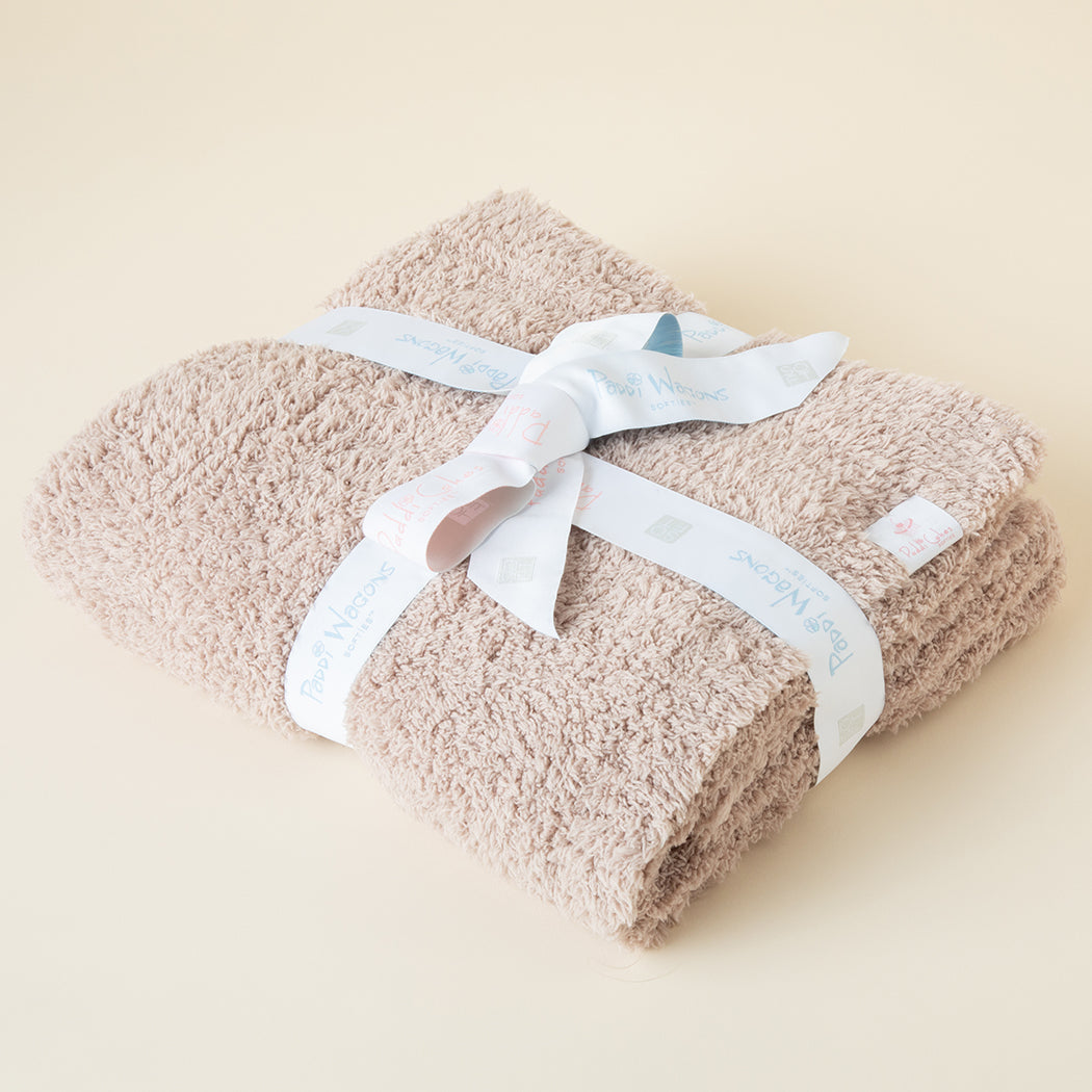 Ultra-Lite Marshmallow 30" x 40" Baby Blanket