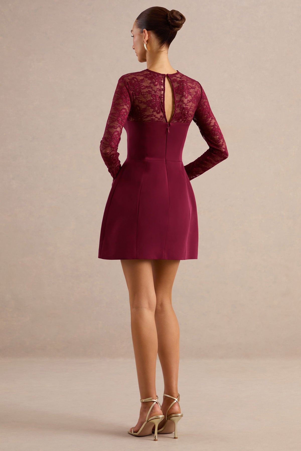 Aerin | Burgundy Lace Round Neck Long Sleeve Mini Dress With Sheer Detail