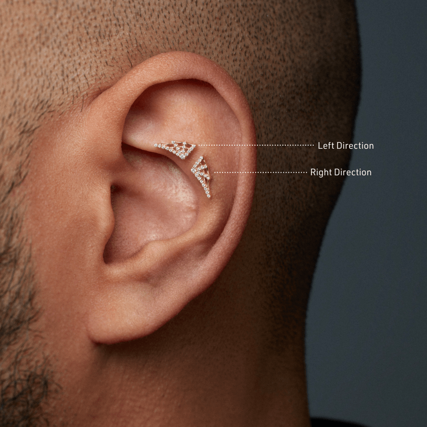 Diamond Web Threaded Stud Earring With Titanium Backing