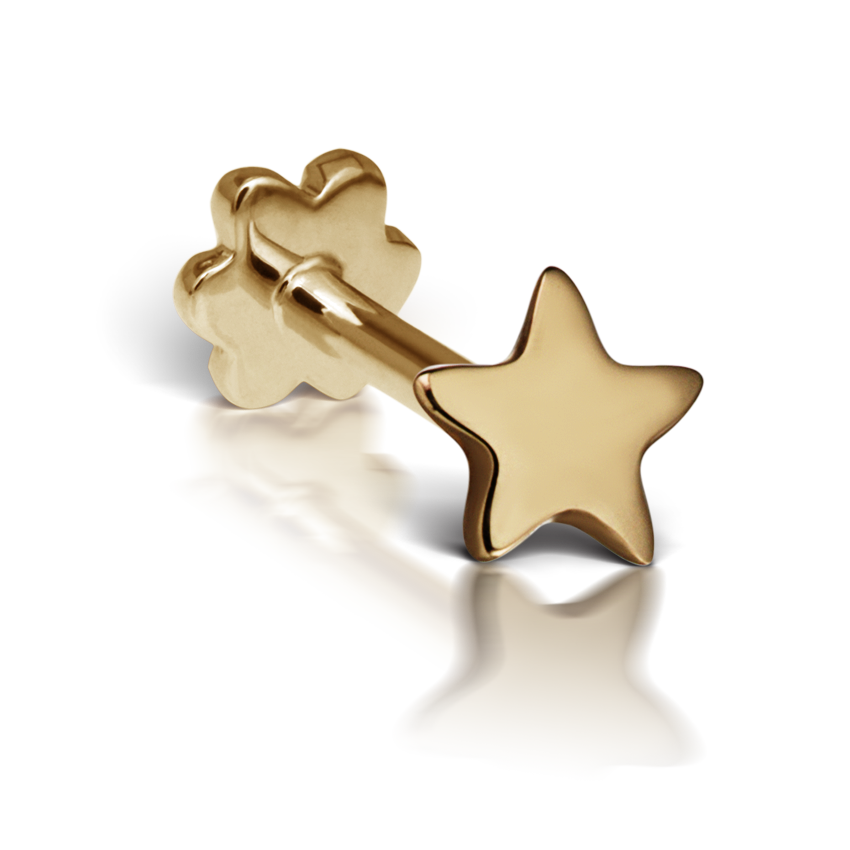 Plain Star Threaded Stud Earring With Titanium Backing