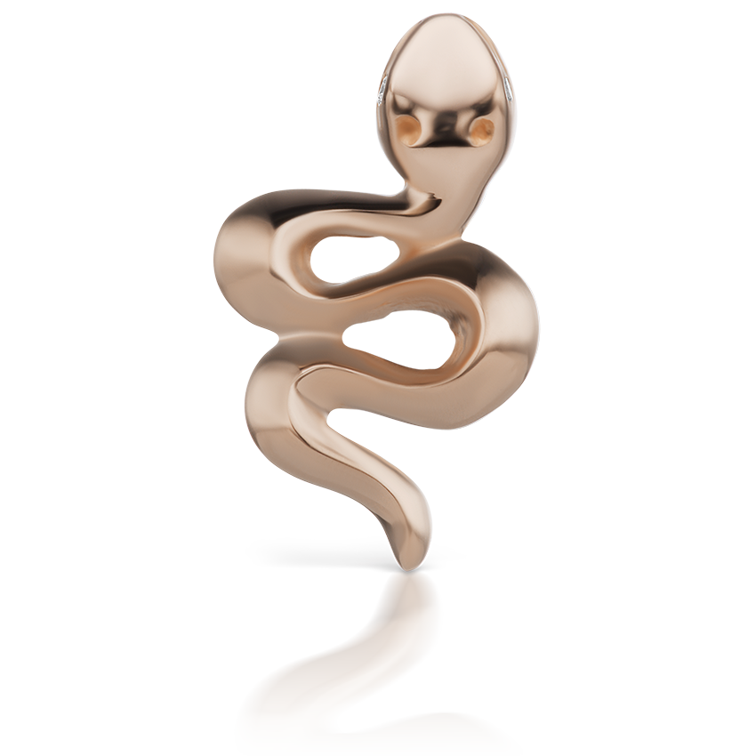 Snake with Diamond Eyes Threaded Stud Earring With Titanium Backing