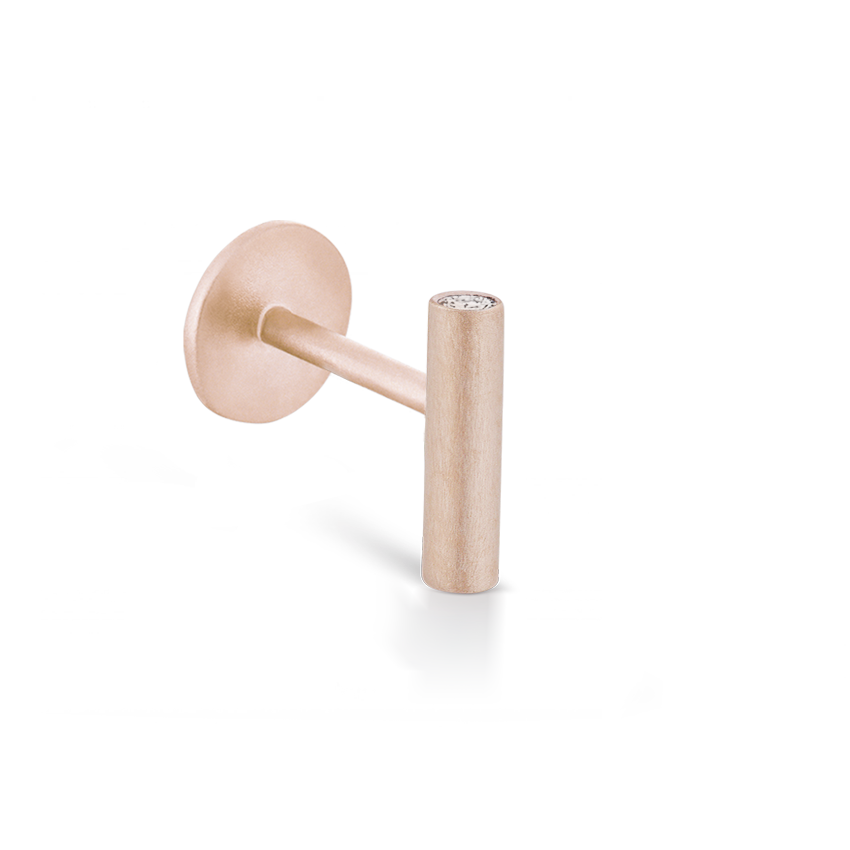 Matte Round Bar with Diamond Ends Threaded Stud Earring With Titanium Backing